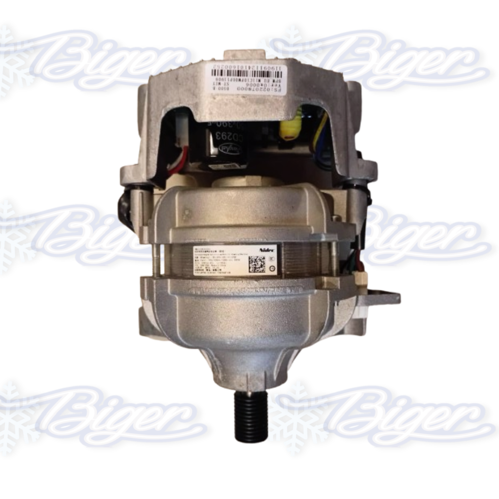 Motor y placa inverter Stack 30/38 309024621