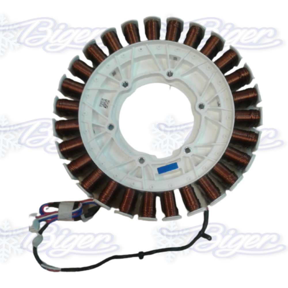 Motor lavarropas Whirlpool TM2 WLF10AS/AS