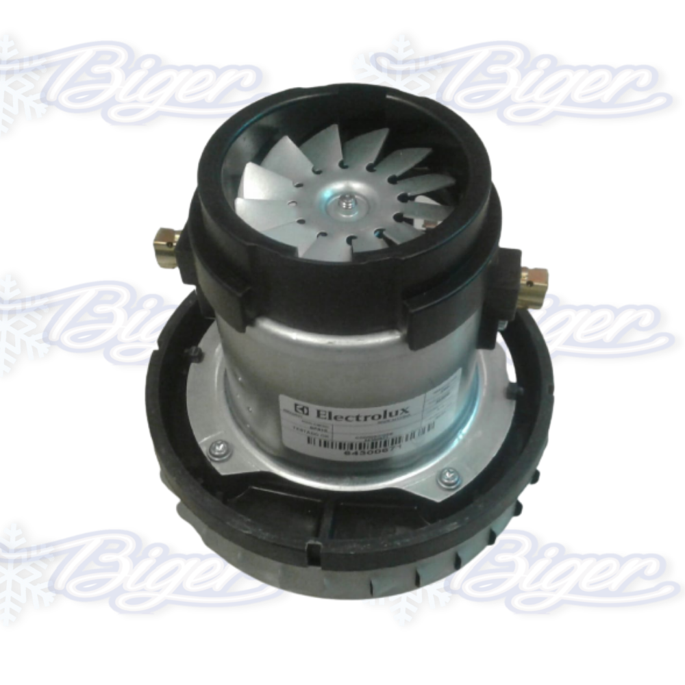 Motor aspiradora agua/polvo 1 turbina BPS1S 1000W Electrolux